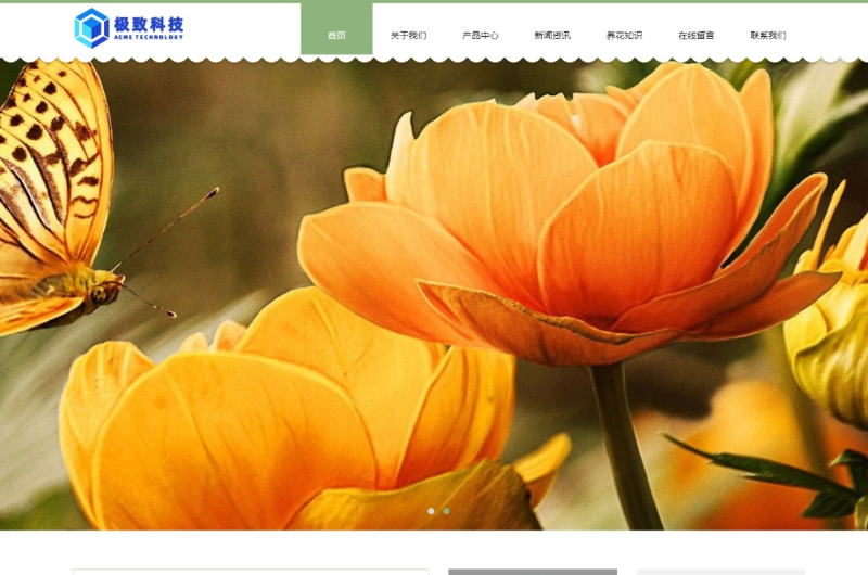[自适应]极致CMS绿植花卉盆栽农业种植批发类通用网站模板